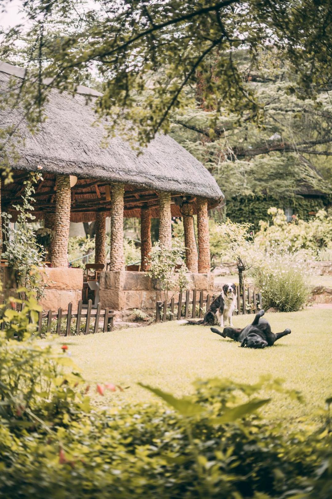 Wyndford Holiday Farm Fouriesburg Ngoại thất bức ảnh