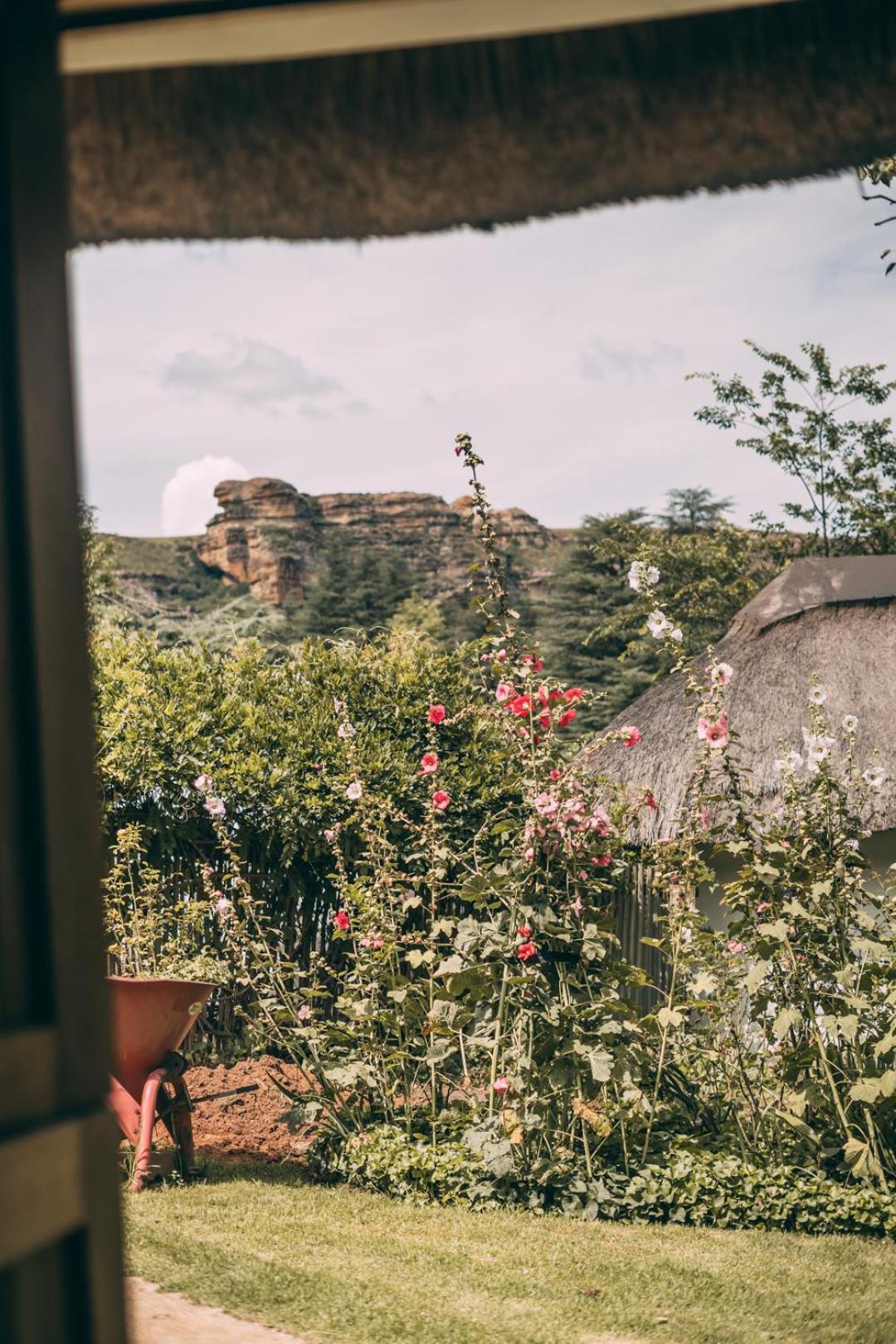 Wyndford Holiday Farm Fouriesburg Ngoại thất bức ảnh
